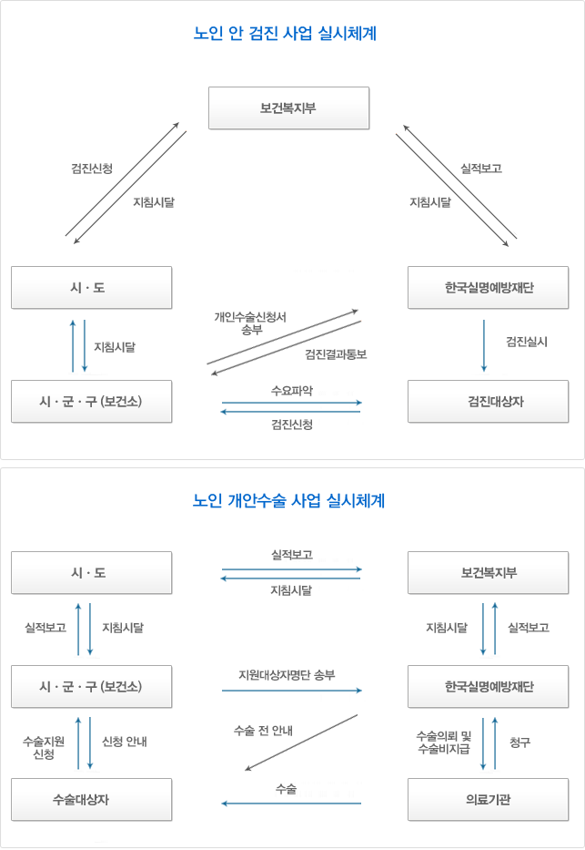 보건복지부와 시.도보건소, 한국실명예방재단의 사업추진절차