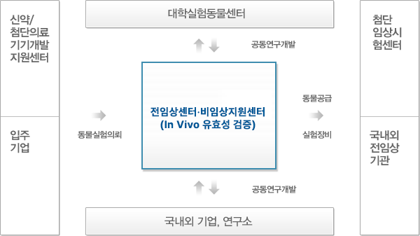 대학실험동물센터와 국내외 기업, 연구소와 공동연구개발을 하는 전임상센터·비임상지원센터(In Vivo 유효성 검증)는 신약/첨단의료 기기개발 지원센터와 입주기업이 동물실험을 의뢰 시, 첨단임상시험센터와 국내외 전임상 기관에게 동물과 실험장비를 공급한다