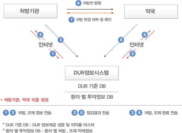 DUR 점검 체계