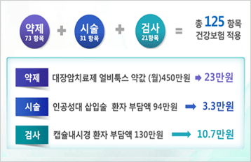 4대 중증질환 보장성 강화 실적